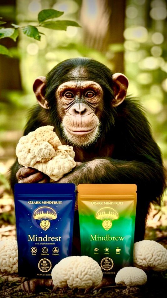 Complete Your System